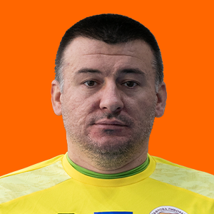 Гайден Денис