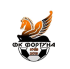 ФК Фортуна 14'